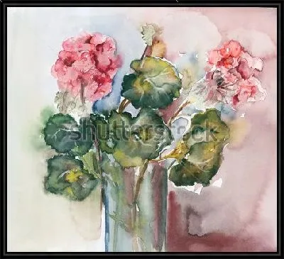 Акварельный натюрморт с букетом розовой герани в стеклянной вазе
