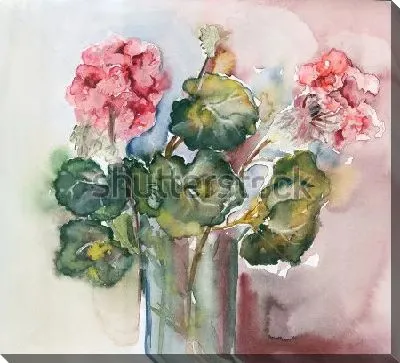 Акварельный натюрморт с букетом розовой герани в стеклянной вазе