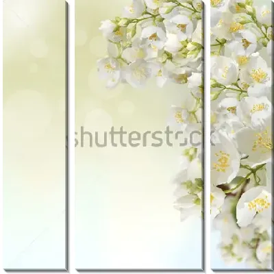 Модульная картина Куст благоухающего нежного жасмина