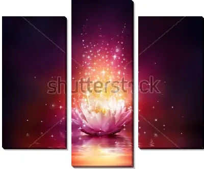 Модульная картина Волшебный цветок розового лотоса с отражением