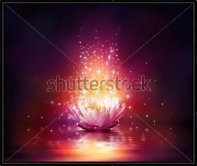 Картина Волшебный цветок розового лотоса с отражением