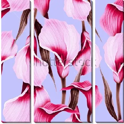 Яркая иллюстрация с розовыми цветами калл на нежном голубом фоне