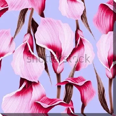 Яркая иллюстрация с розовыми цветами калл на нежном голубом фоне