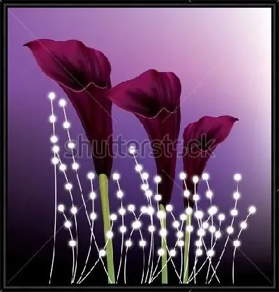 Яркая композиция с тёмно-бордовыми каллами и светящимися гирляндами на фиолетовом фоне