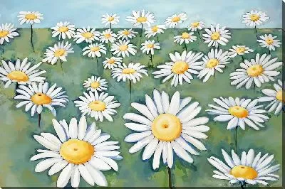 Рисунок листьев клевера на белом фоне