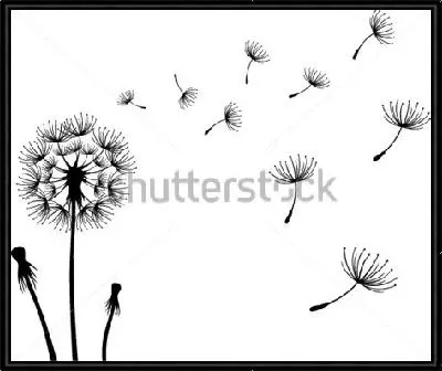 Картина Одуванчик и летящие по ветру зонтики с семенами