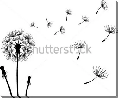 Постер Одуванчик и летящие по ветру зонтики с семенами