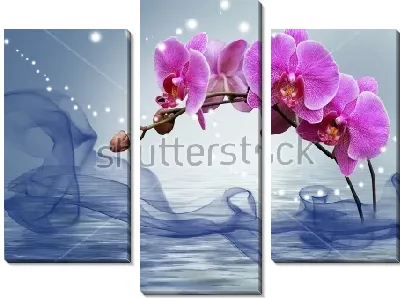 Модульная картина Красивый волшебный коллаж с цветами сиреневой орхидеи, водяной глади и звёздной россыпи