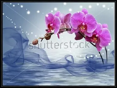 Картина Красивый волшебный коллаж с цветами сиреневой орхидеи, водяной глади и звёздной россыпи