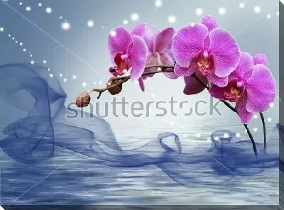 Постер Красивый волшебный коллаж с цветами сиреневой орхидеи, водяной глади и звёздной россыпи
