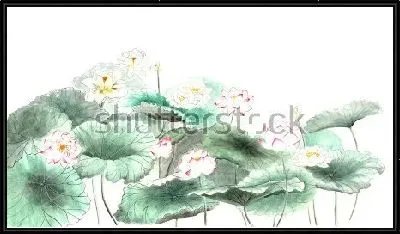 Тонкий акварельный рисунок кувшинок с листьями в японском стиле