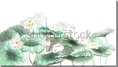 Тонкий акварельный рисунок кувшинок с листьями в японском стиле