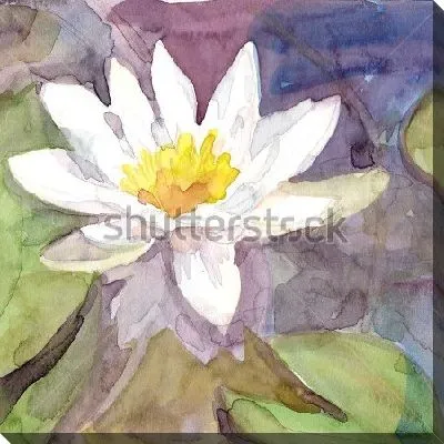 Картина маслом Акварельный рисунок белой кувшинки на воде