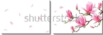 Модульная картина Иллюстрация с веточкой розовой магнолии и летящими лепестками цветов