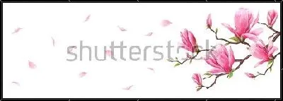 Картина Иллюстрация с веточкой розовой магнолии и летящими лепестками цветов