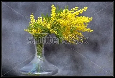 Роскошный букет жёлтой мимозы в красивой стеклянной вазе на сером фоне