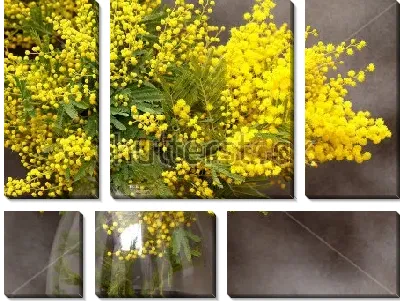 Модульная картина Красивый букет жёлтых мимоз в стеклянной вазе