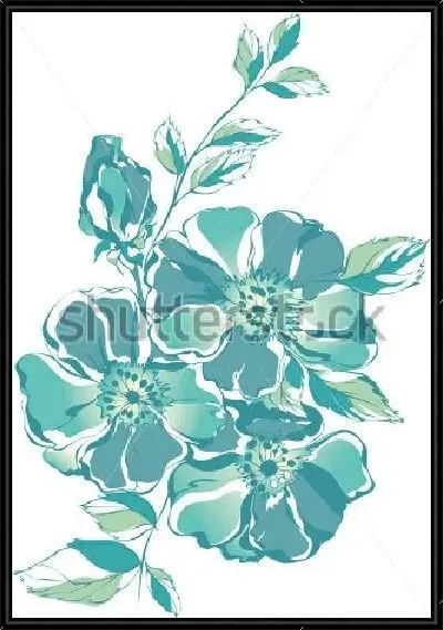 Картина Монохромная иллюстрация красивых цветов олеандра на белом фоне