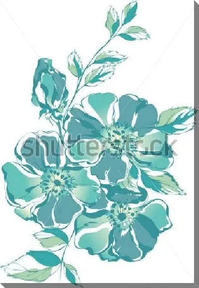 Постер Монохромная иллюстрация красивых цветов олеандра на белом фоне