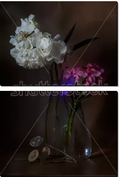 Модульная картина Натюрморт с ветками белого и розового олеандра в прозрачных вазах на тёмном фоне