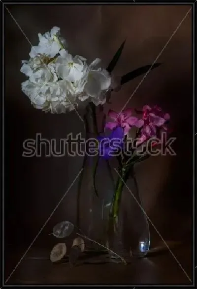 Картина Натюрморт с ветками белого и розового олеандра в прозрачных вазах на тёмном фоне