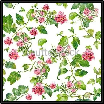 Картина Акварельная иллюстрация из листьев и розовых цветов олеандра на белом фоне