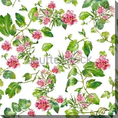 Акварельная иллюстрация из листьев и розовых цветов олеандра на белом фоне