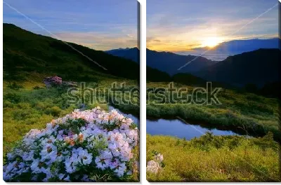 Модульная картина Куст белого рододендрона на фоне прекрасного горного пейзажа в лучах заката