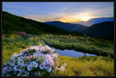 Куст белого рододендрона на фоне прекрасного горного пейзажа в лучах заката