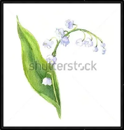 Картина Акварельный рисунок ландыша