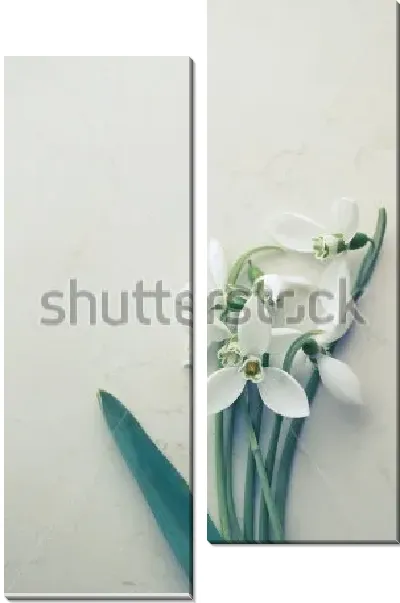 Модульная картина Букетик подснежников на мраморной плитке