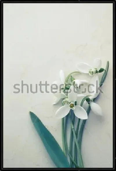 Картина Букетик подснежников на мраморной плитке