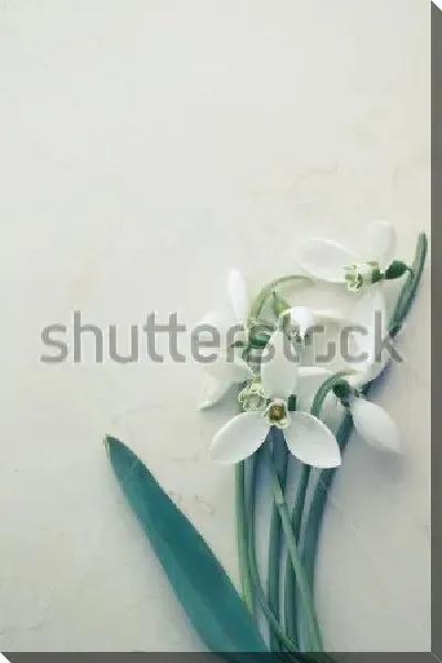 Постер Букетик подснежников на мраморной плитке