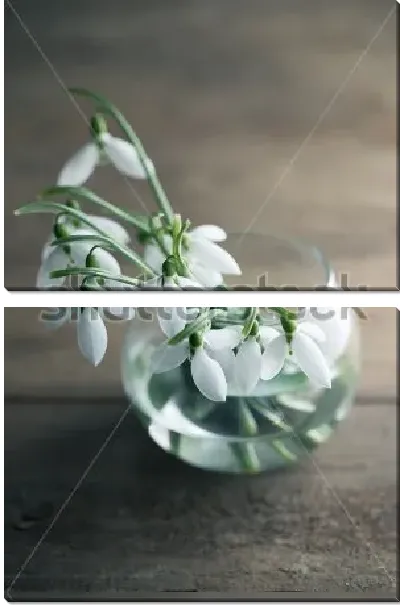 Модульная картина Букетик нежных подснежников в стакане