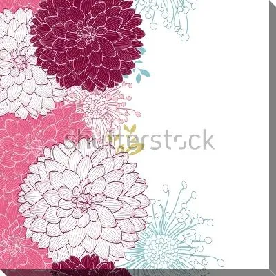 Постер Яркая композиция с разноцветными цветками георгина на белом фоне