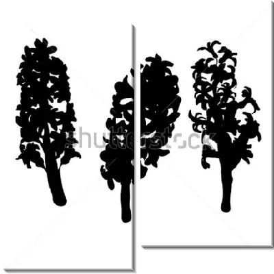 Модульная картина Чёрные силуэты цветов гиацинта на белом фоне