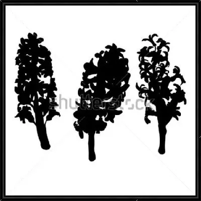 Картина Чёрные силуэты цветов гиацинта на белом фоне