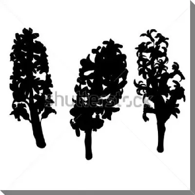 Чёрные силуэты цветов гиацинта на белом фоне