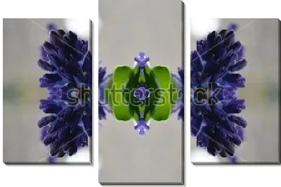 Модульная картина Калейдоскопическая композиция из синих цветов гиацинта