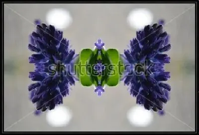 Картина Калейдоскопическая композиция из синих цветов гиацинта