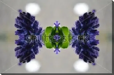 Калейдоскопическая композиция из синих цветов гиацинта