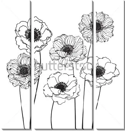 Чёрно-белый рисунок цветов анемон