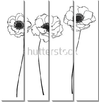 Чёрно-белый рисунок трёх цветов анемоны