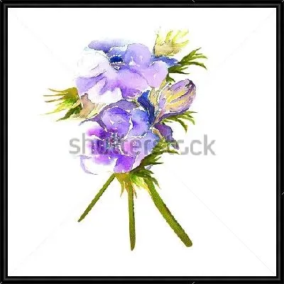 Картина Акварельный рисунок букетика голубых анемон на белом фоне