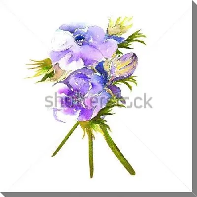 Постер Акварельный рисунок букетика голубых анемон на белом фоне