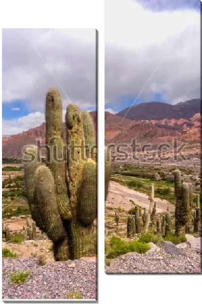 Модульная картина Потрясающая долина кактусов в горном  массиве Южной Америки
