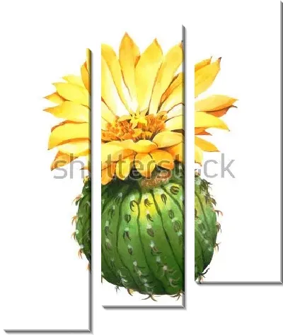 Модульная картина Эхинопсис с большим жёлтым цветком на белом фоне