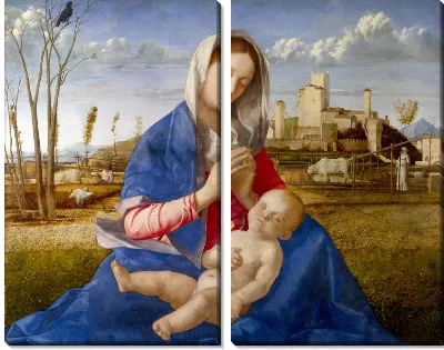 Картина Мадонна на лугу (Madonna of the Meadow)