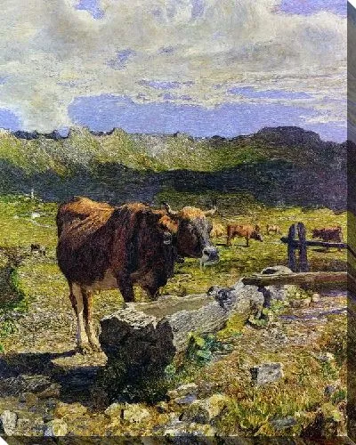 Картина Коричневая корова у корыта (Brown Cow in the Waterhole)