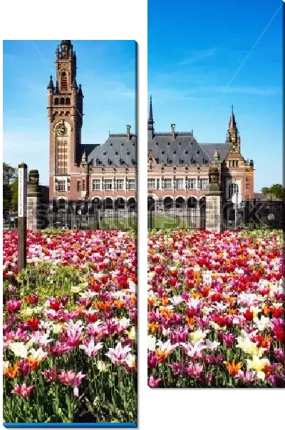 Модульная картина Разноцветное поле тюльпанов перед Дворцом Мира в Гааге, официальной резиденцией Международного суда ООН